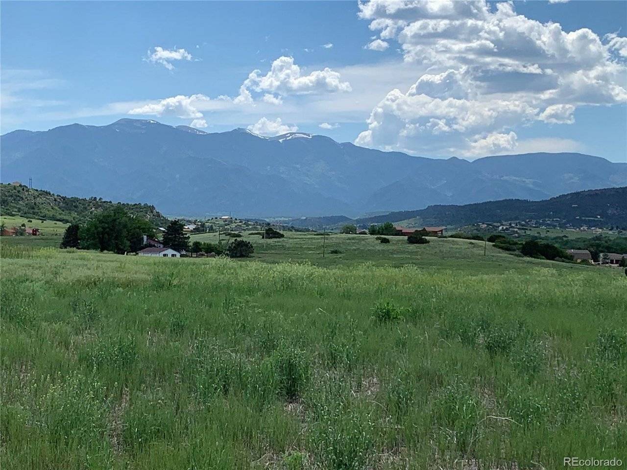 COLUMBINE, Colorado City, CO 81019