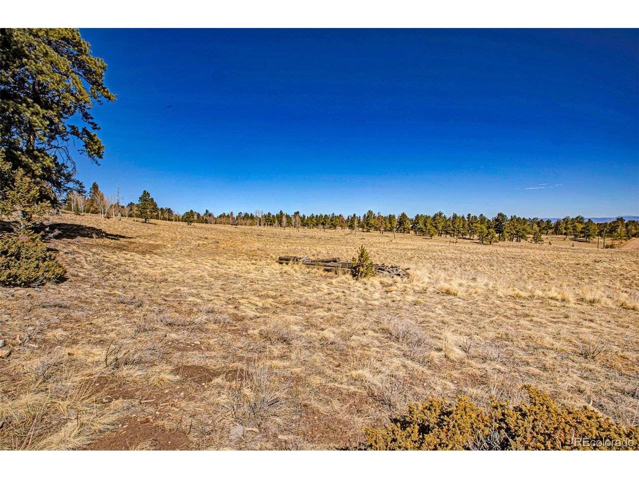 1250 Kaufman, Hartsel, CO 80449