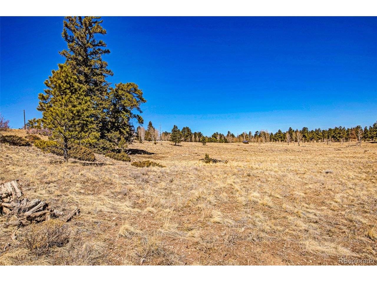 1250 Kaufman, Hartsel, CO 80449