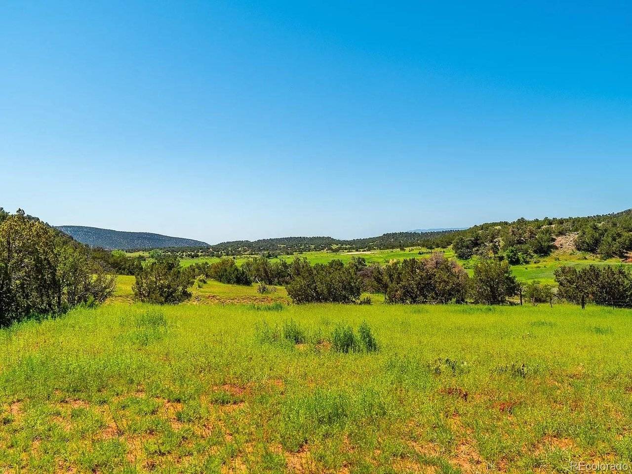 10 Rice Mountain way, Canon City, CO 81215