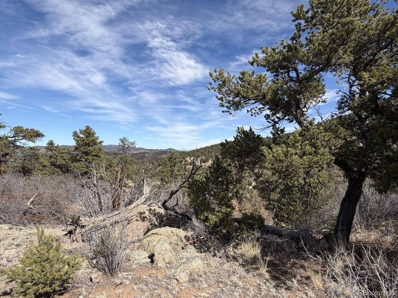 0 Redtail Trail, Texas Creek, CO 81223