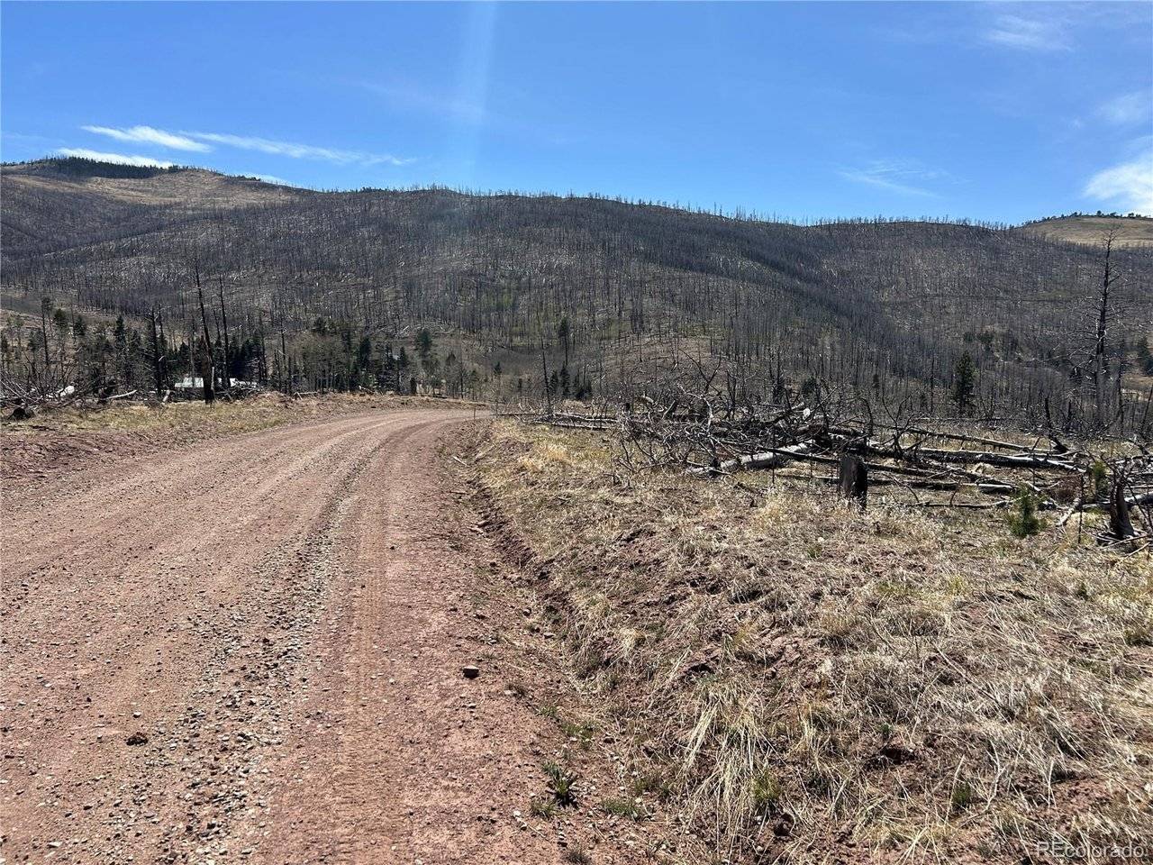 1039 Forbes Park Ranch, Fort Garland, CO 81133