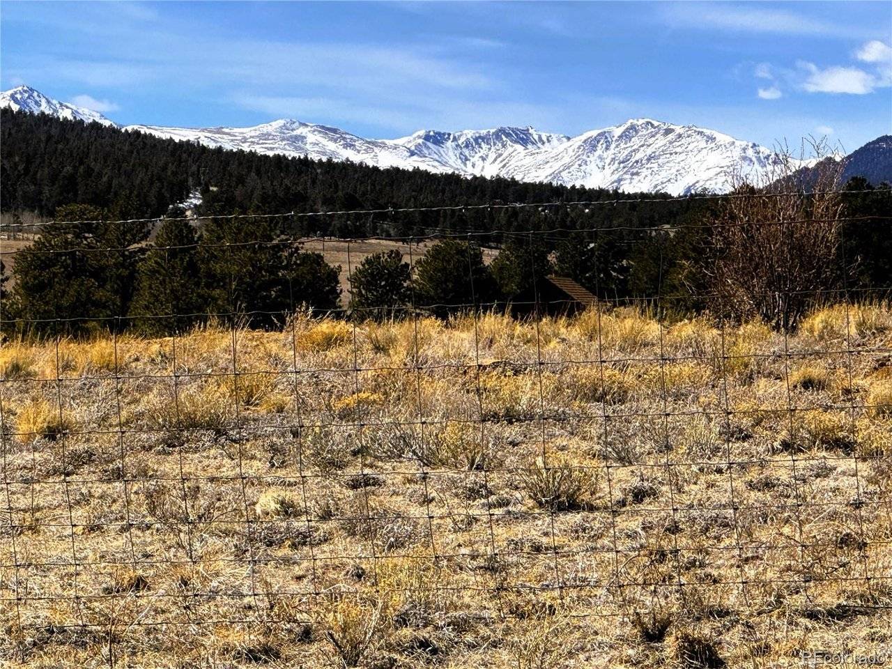 225 Wagon Wheel, Hartsel, CO 80449