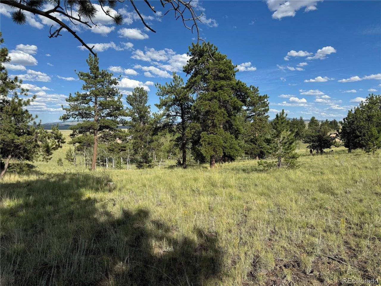 833 Angus, Hartsel, CO 80449