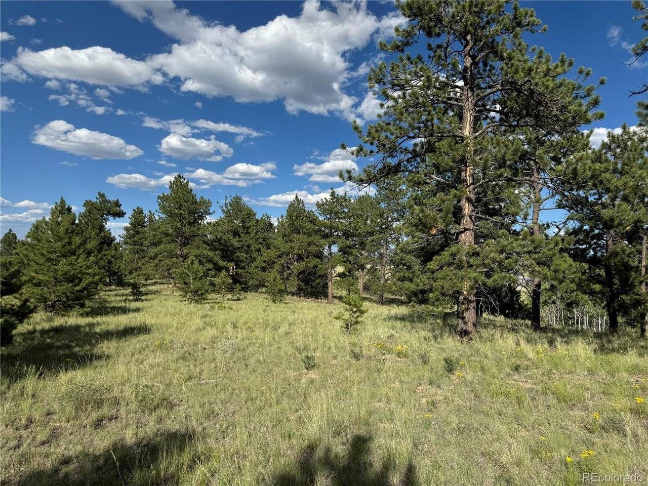 833 Angus, Hartsel, CO 80449