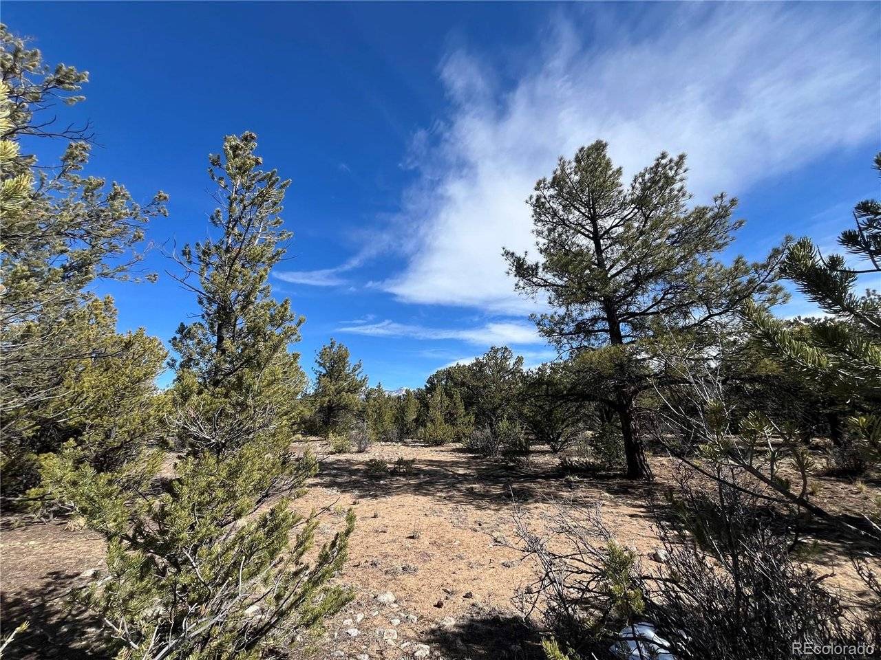 29274 Lakota, Buena Vista, CO 81211