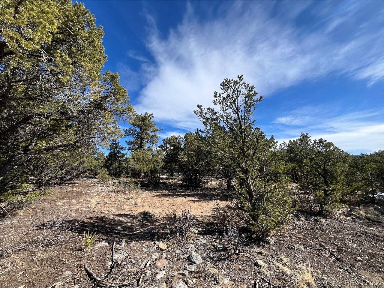 29274 Lakota, Buena Vista, CO 81211