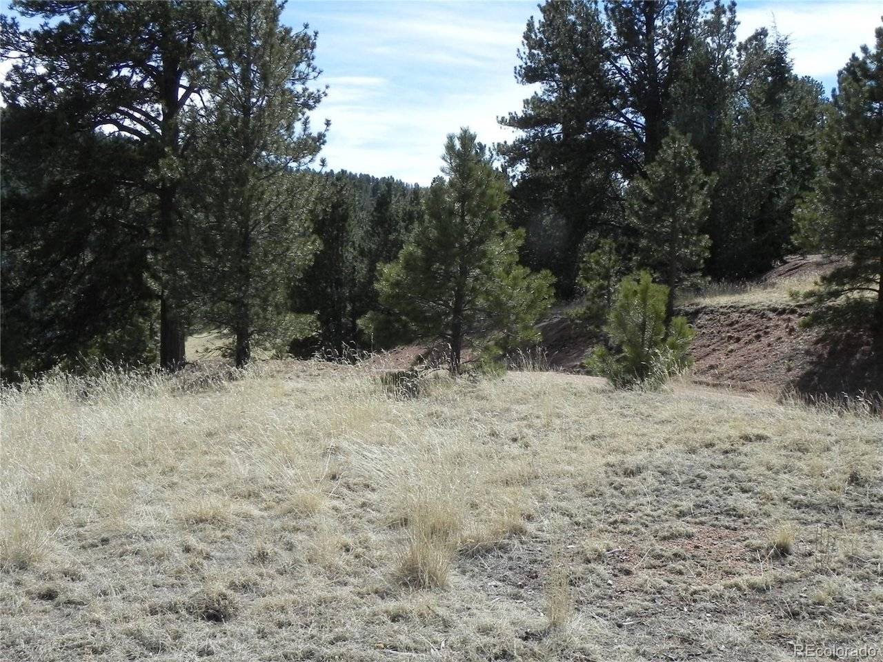 1087 Monarch, Cripple Creek, CO 80813