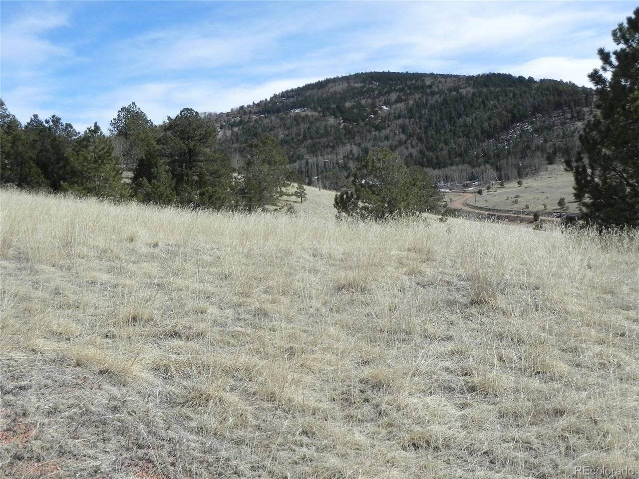 1087 Monarch, Cripple Creek, CO 80813