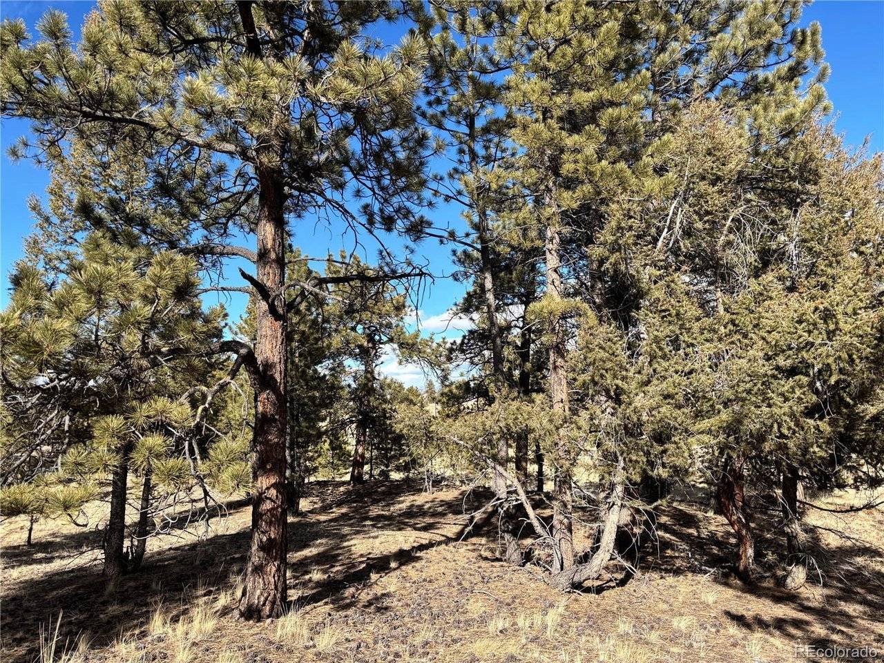 823 Windmill, Hartsel, CO 80449