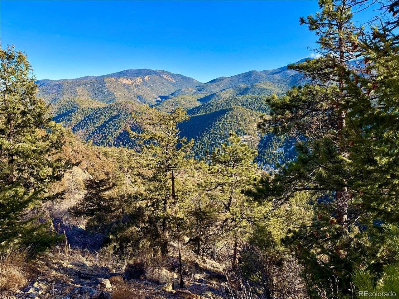 1961 Fools Gold, Idaho Springs, CO 80452