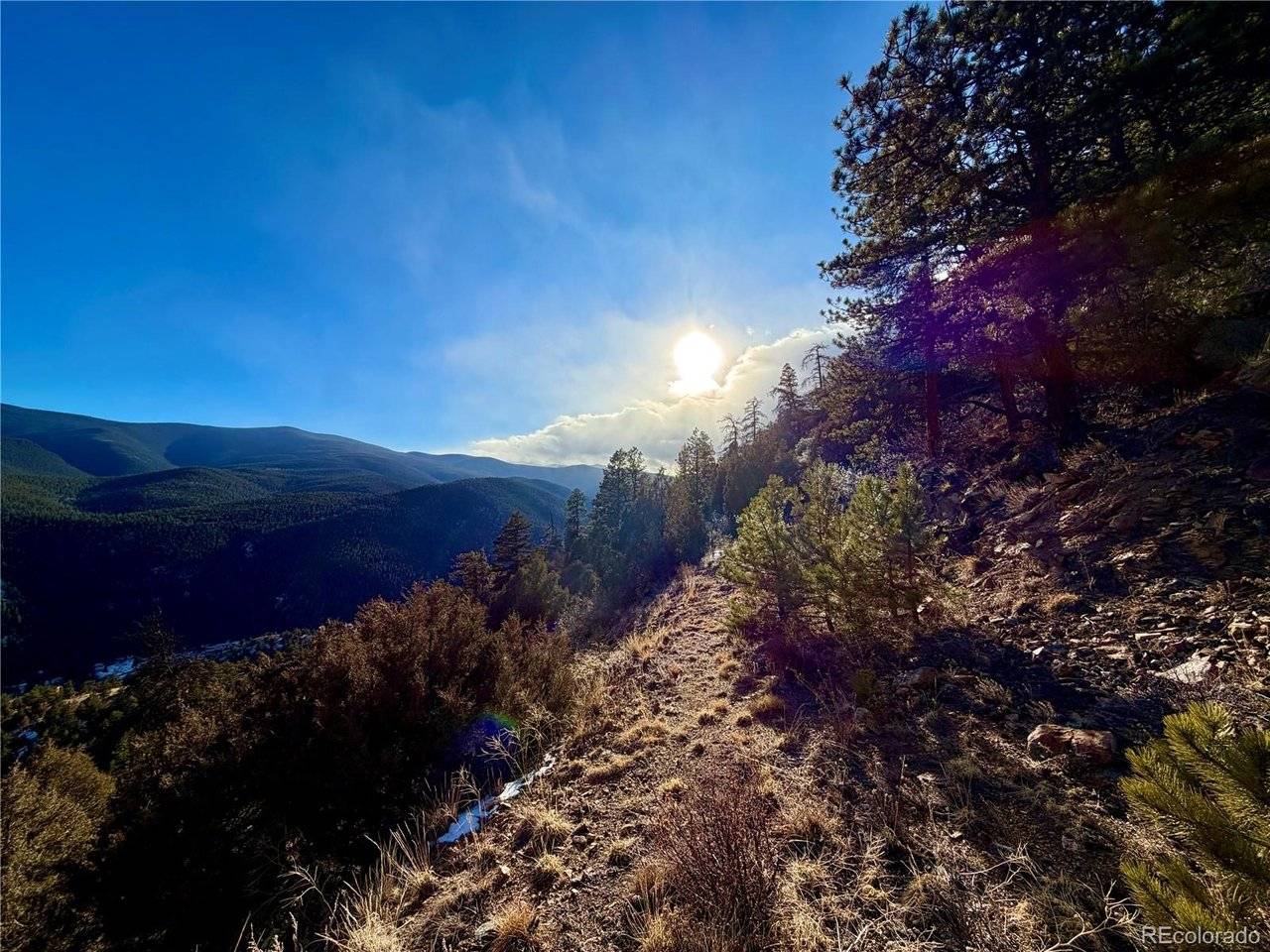 1961 Fools Gold, Idaho Springs, CO 80452