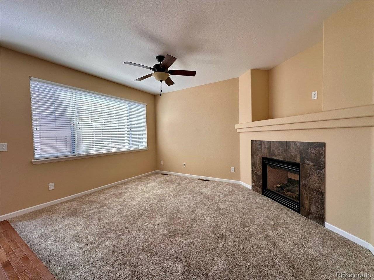 22843 E Briarwood, Aurora, CO 80016