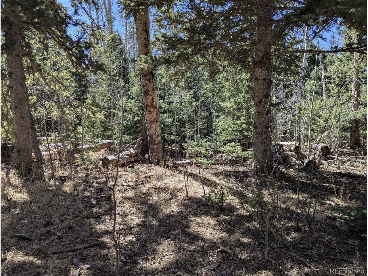 2664 Grojean, Fort Garland, CO 81133