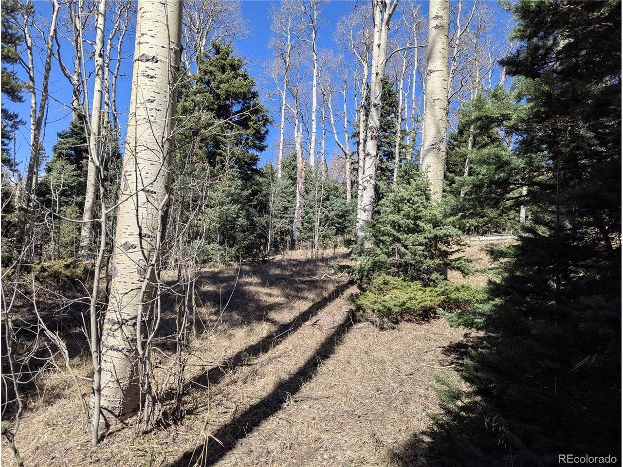 2664 Grojean, Fort Garland, CO 81133