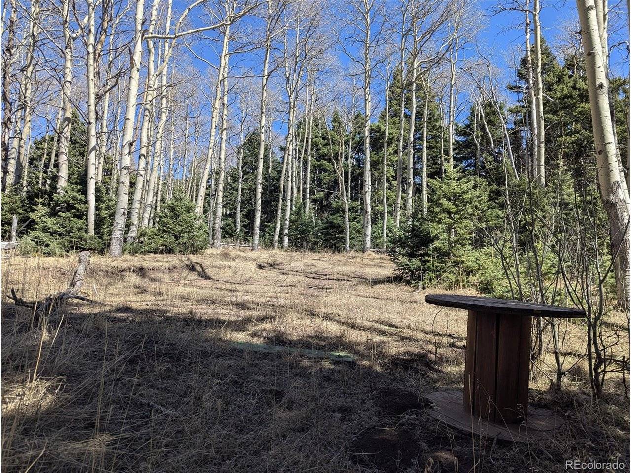 2664 Grojean, Fort Garland, CO 81133