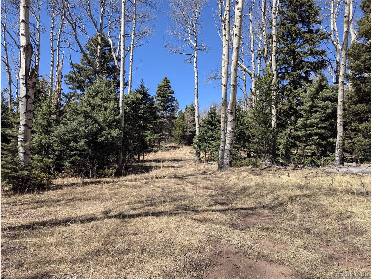 2664 Grojean, Fort Garland, CO 81133