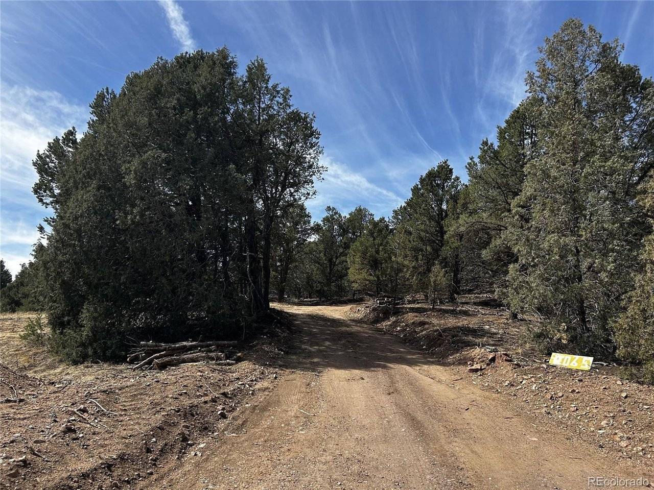 2065 Indian Wells, Cotopaxi, CO 81223