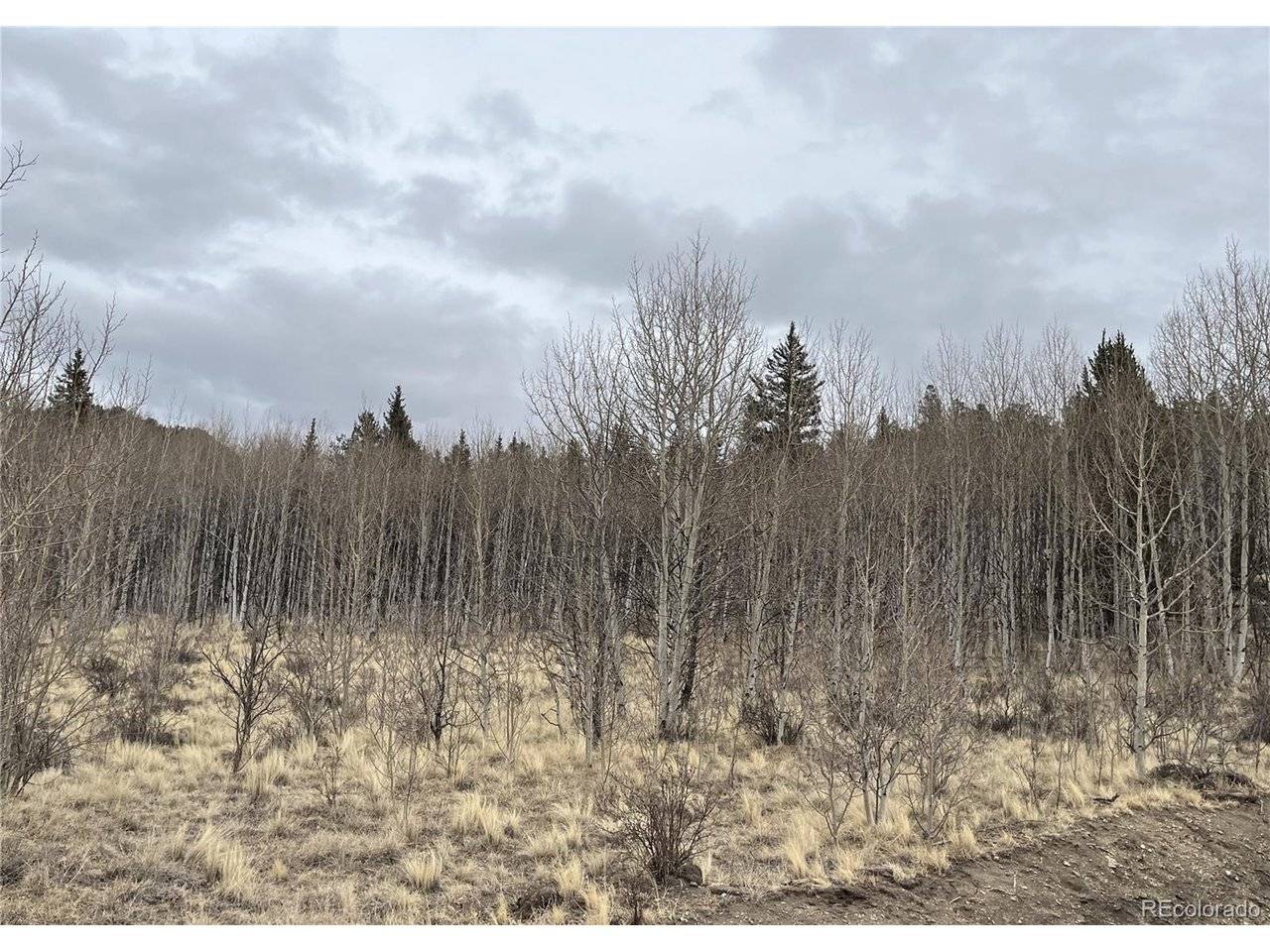688 Ouray, Como, CO 80432