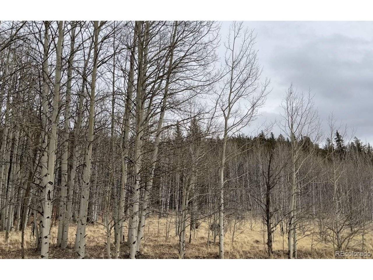 688 Ouray, Como, CO 80432