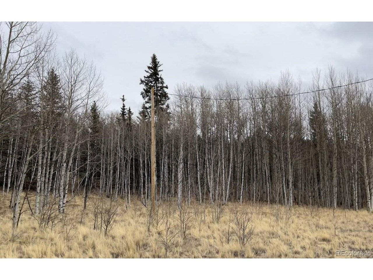 688 Ouray, Como, CO 80432