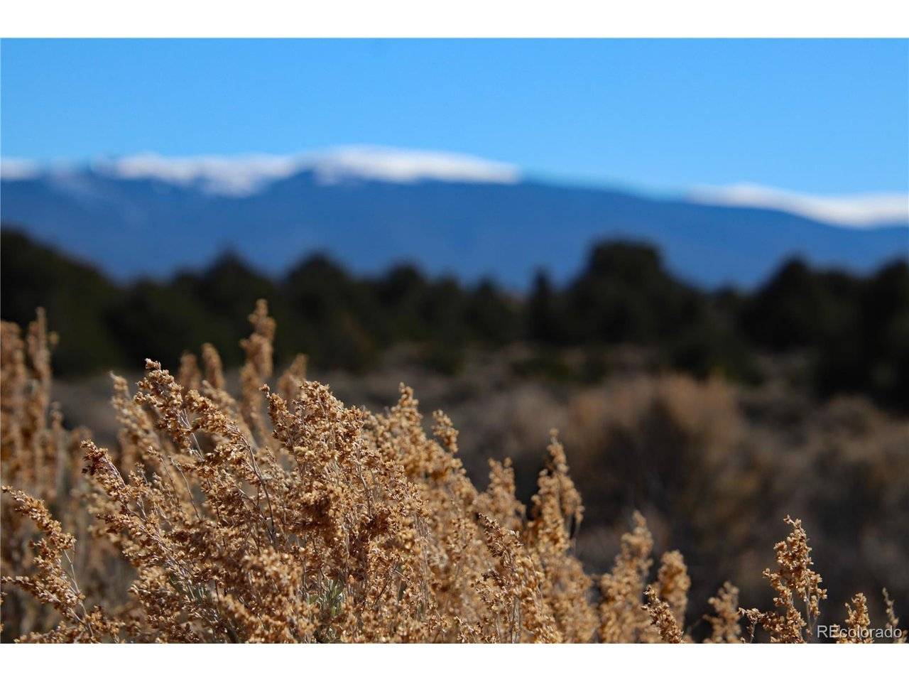 Address not disclosed, San Luis, CO 81152