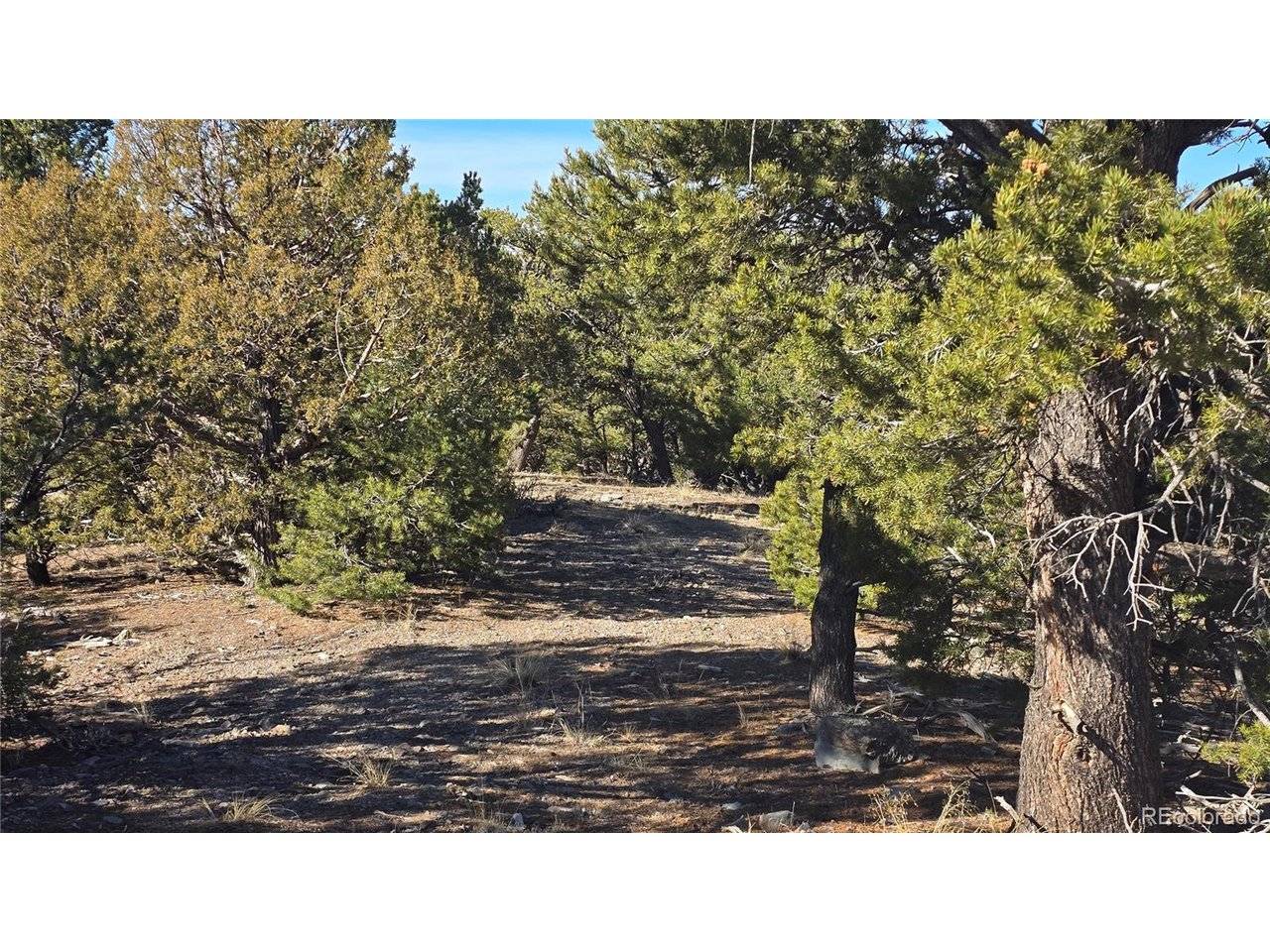 4510 Iannelli, Fort Garland, CO 81133