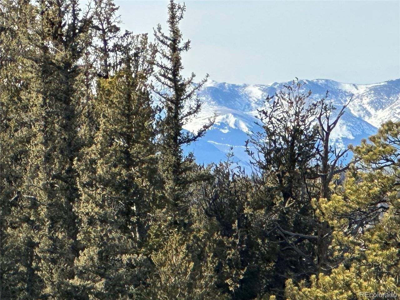 1289 Willow, Jefferson, CO 80456