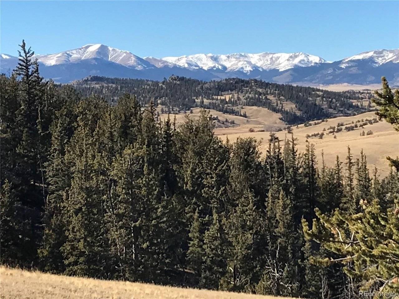 1289 Willow, Jefferson, CO 80456