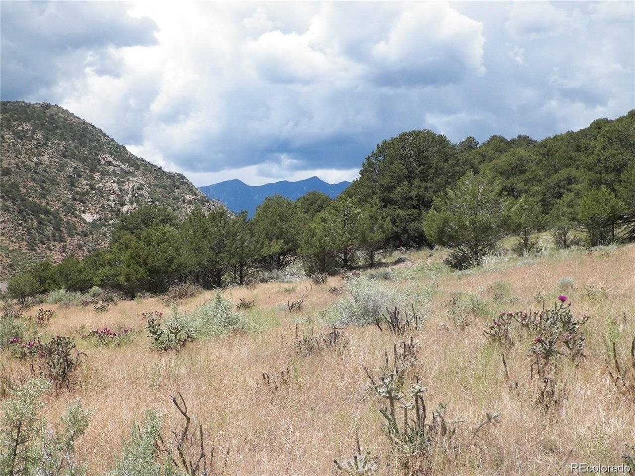 TBD, Cotopaxi, CO 81223