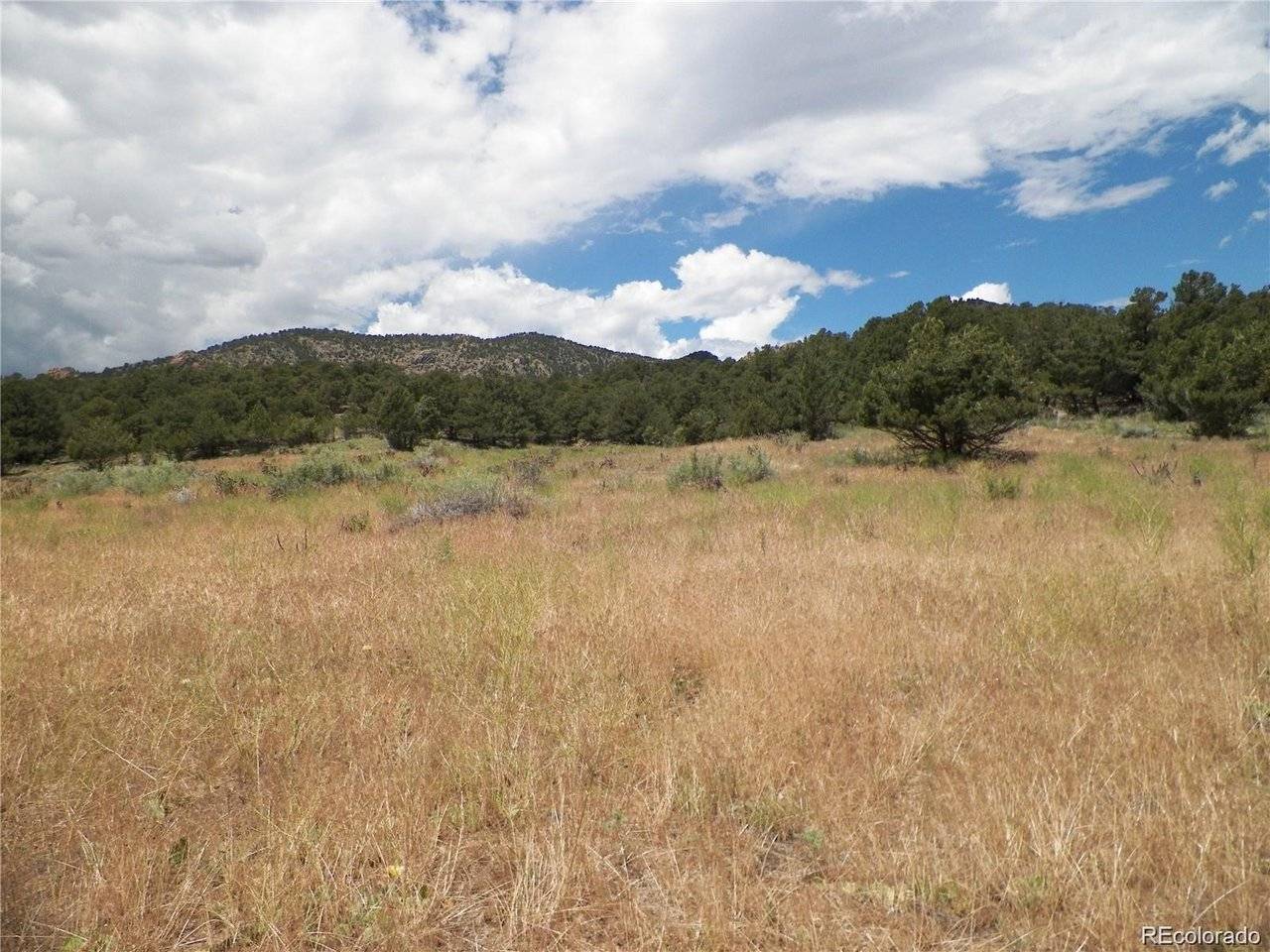 TBD, Cotopaxi, CO 81223