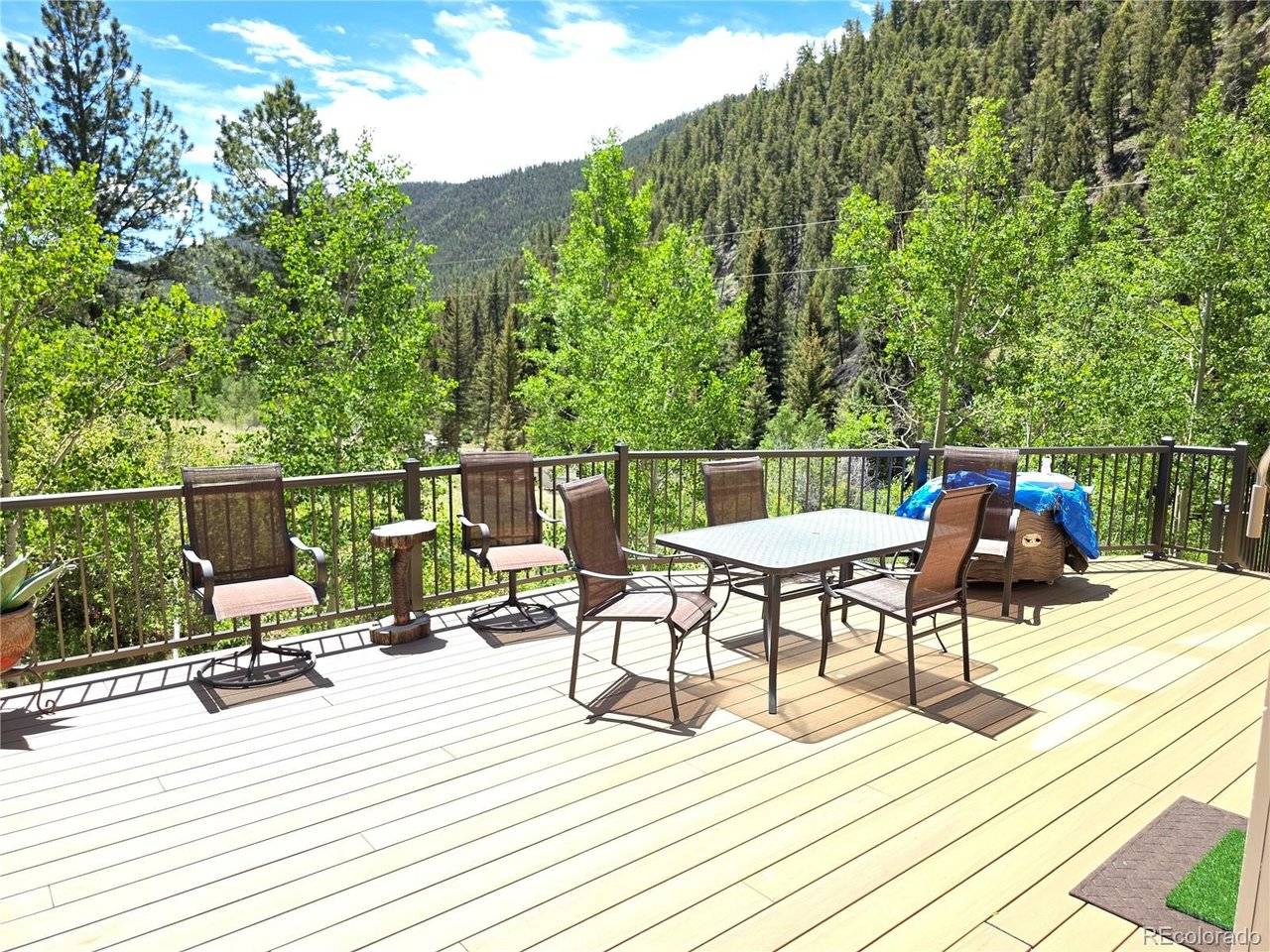 394 County Road 62, Grant, CO 80448