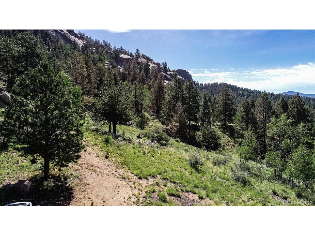 235 Hay Creek, Florissant, CO 80816