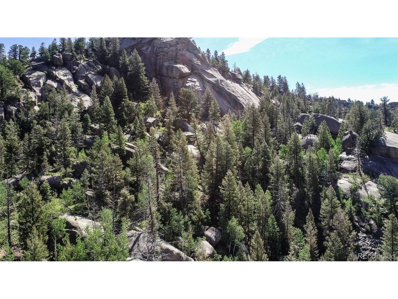 235 Hay Creek, Florissant, CO 80816