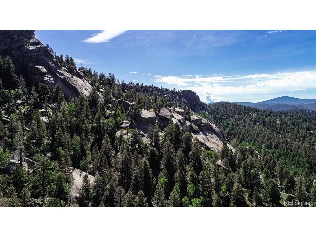 235 Hay Creek, Florissant, CO 80816