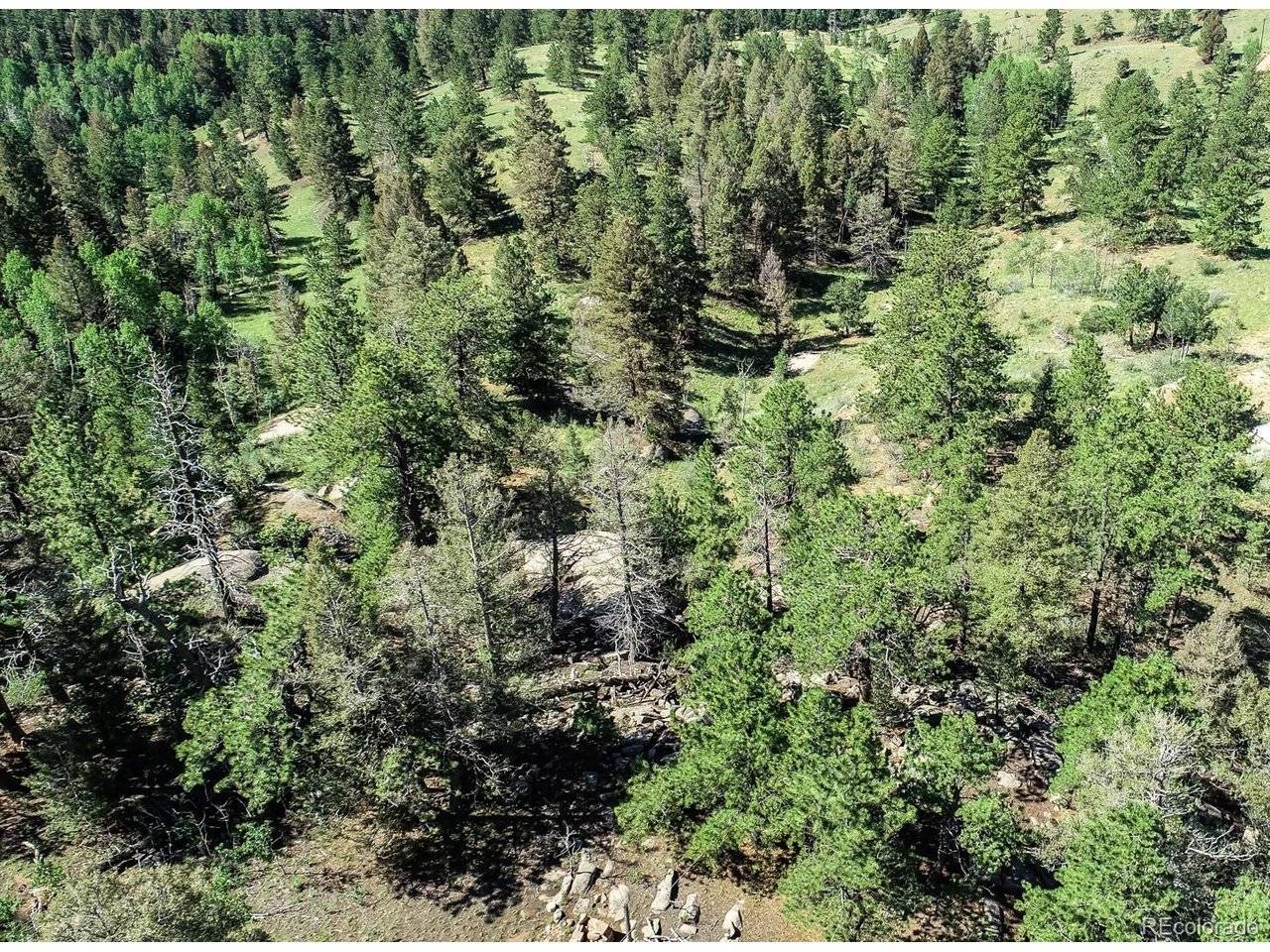 235 Hay Creek, Florissant, CO 80816