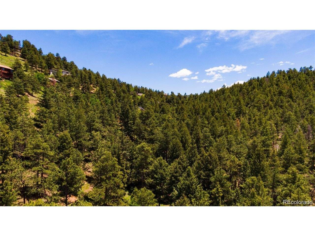 27292 Ridge, Conifer, CO 80433
