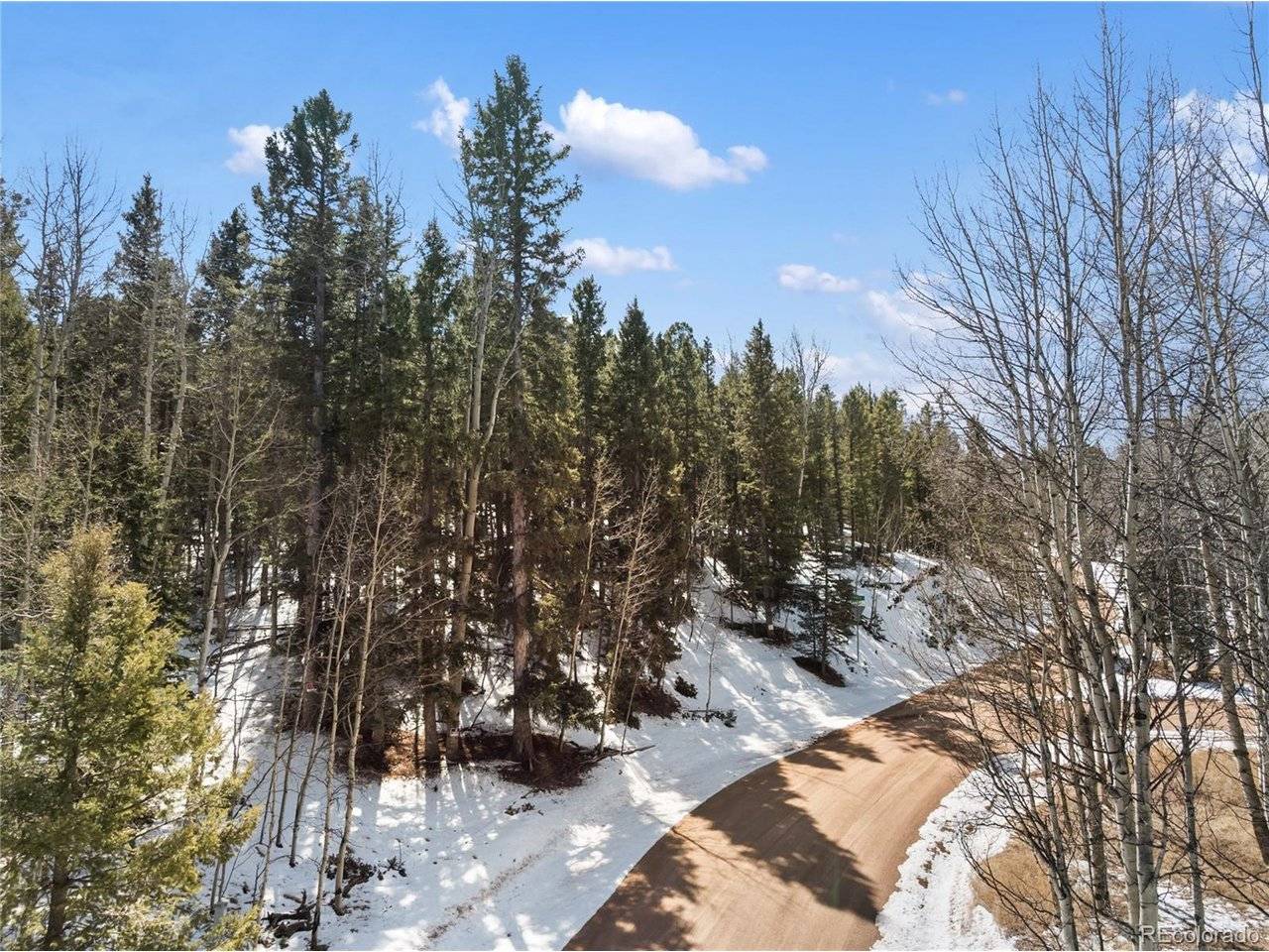 358 Pawutsy, Florissant, CO 80816