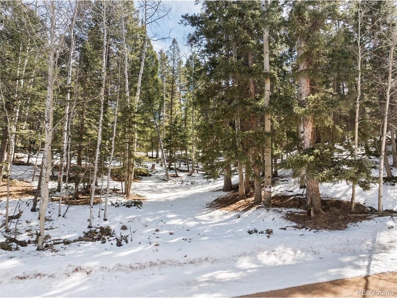 358 Pawutsy, Florissant, CO 80816