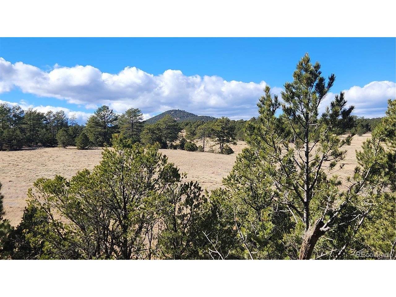 311 Kit Carson, Cotopaxi, CO 81223