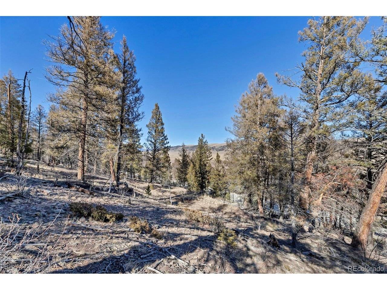 1467 Redhill, Fairplay, CO 80440