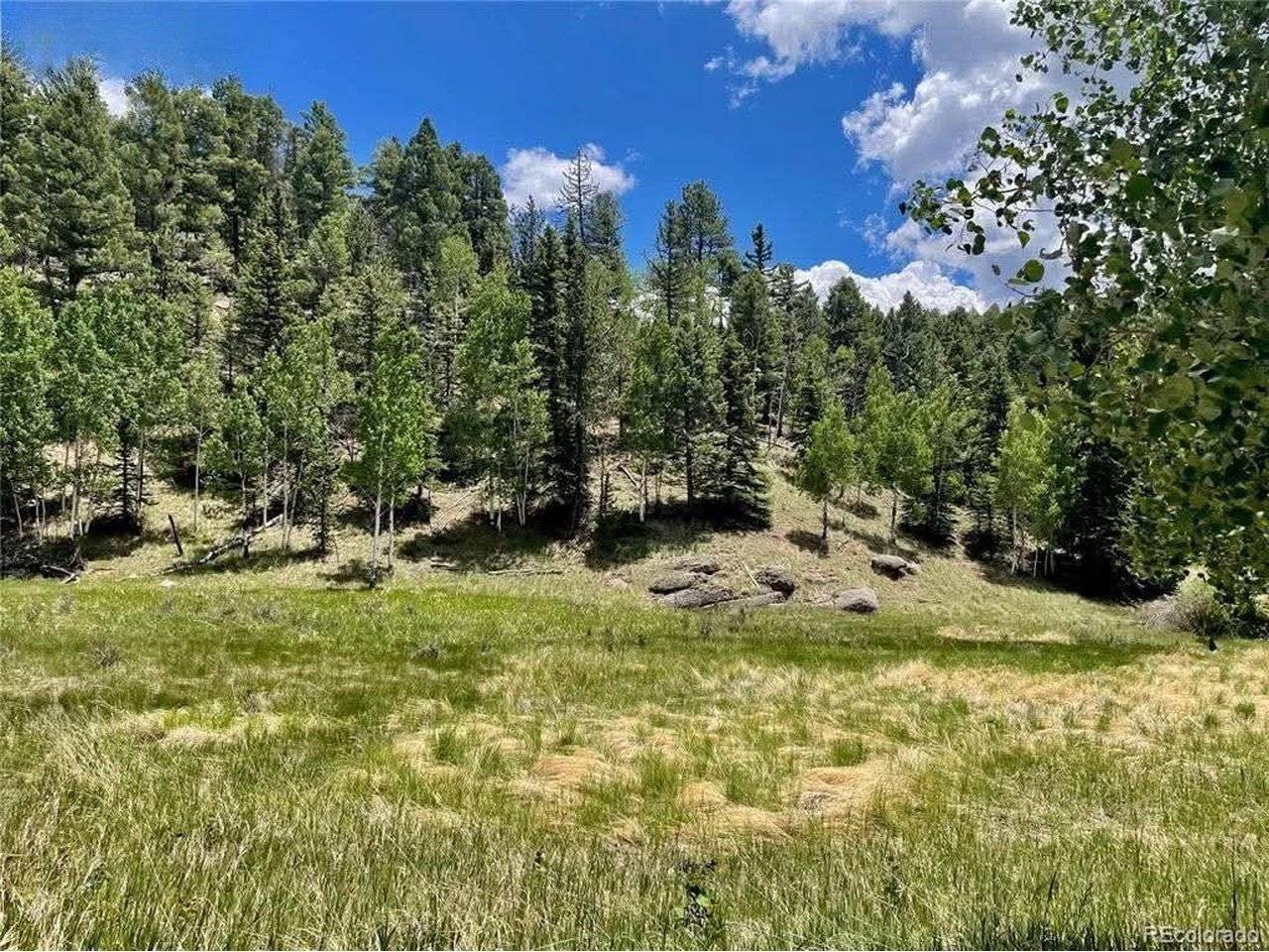 458 Arrowhead, Florissant, CO 80816