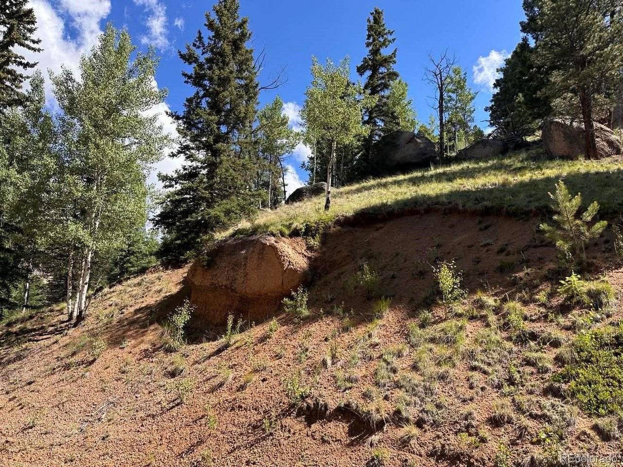 458 Arrowhead, Florissant, CO 80816