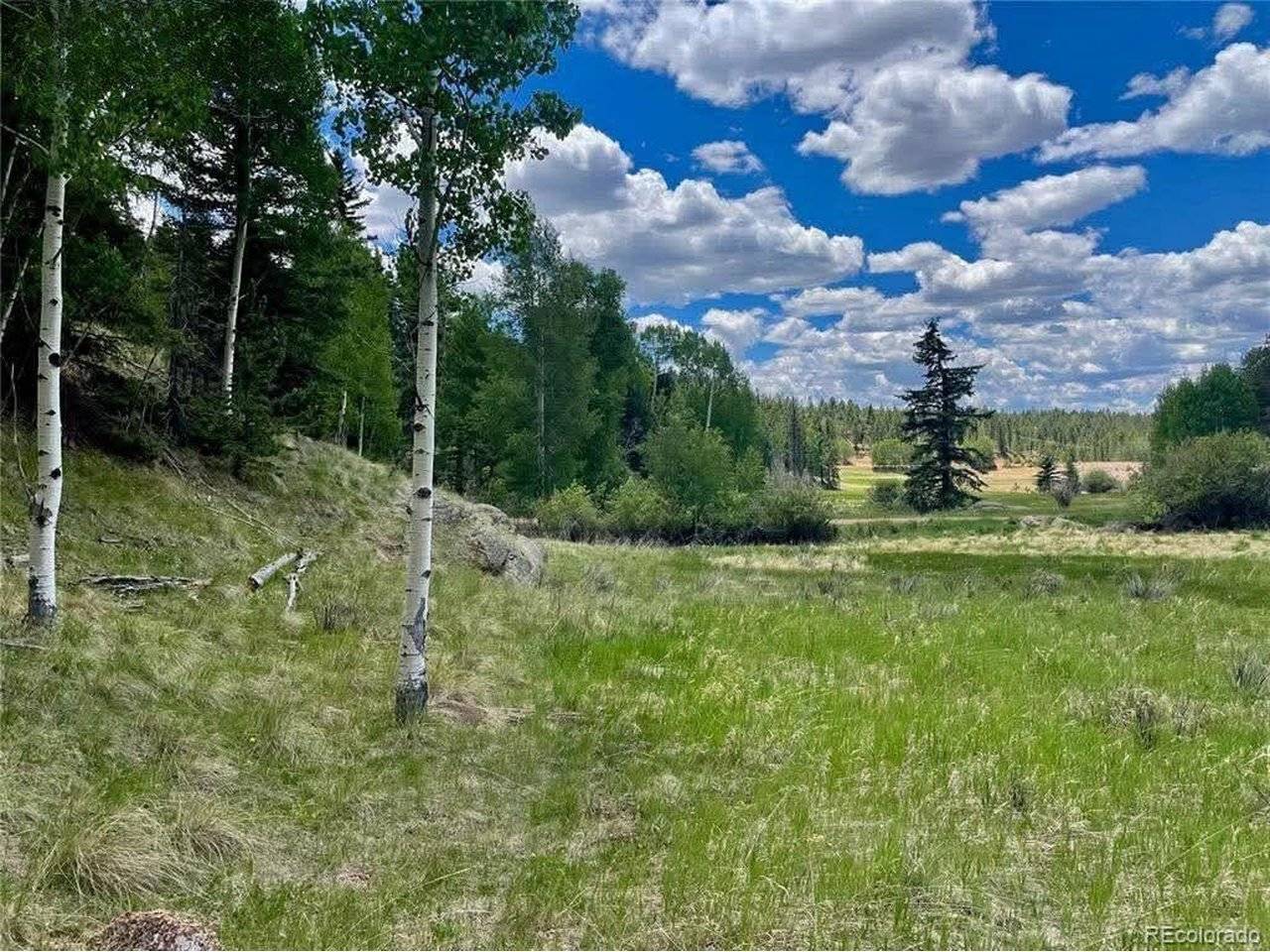 458 Arrowhead, Florissant, CO 80816