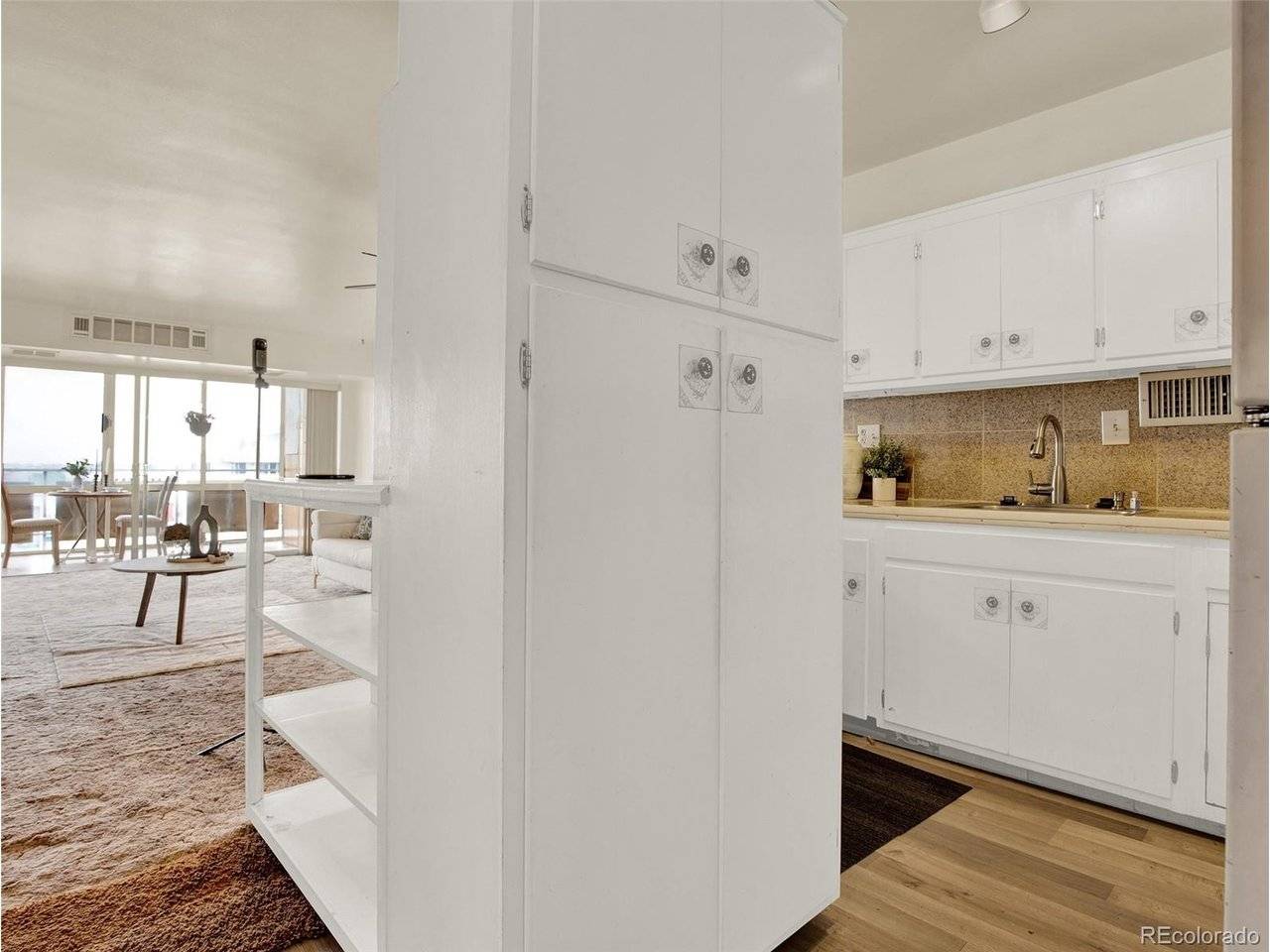 1121 Albion #910, Denver, CO 80220