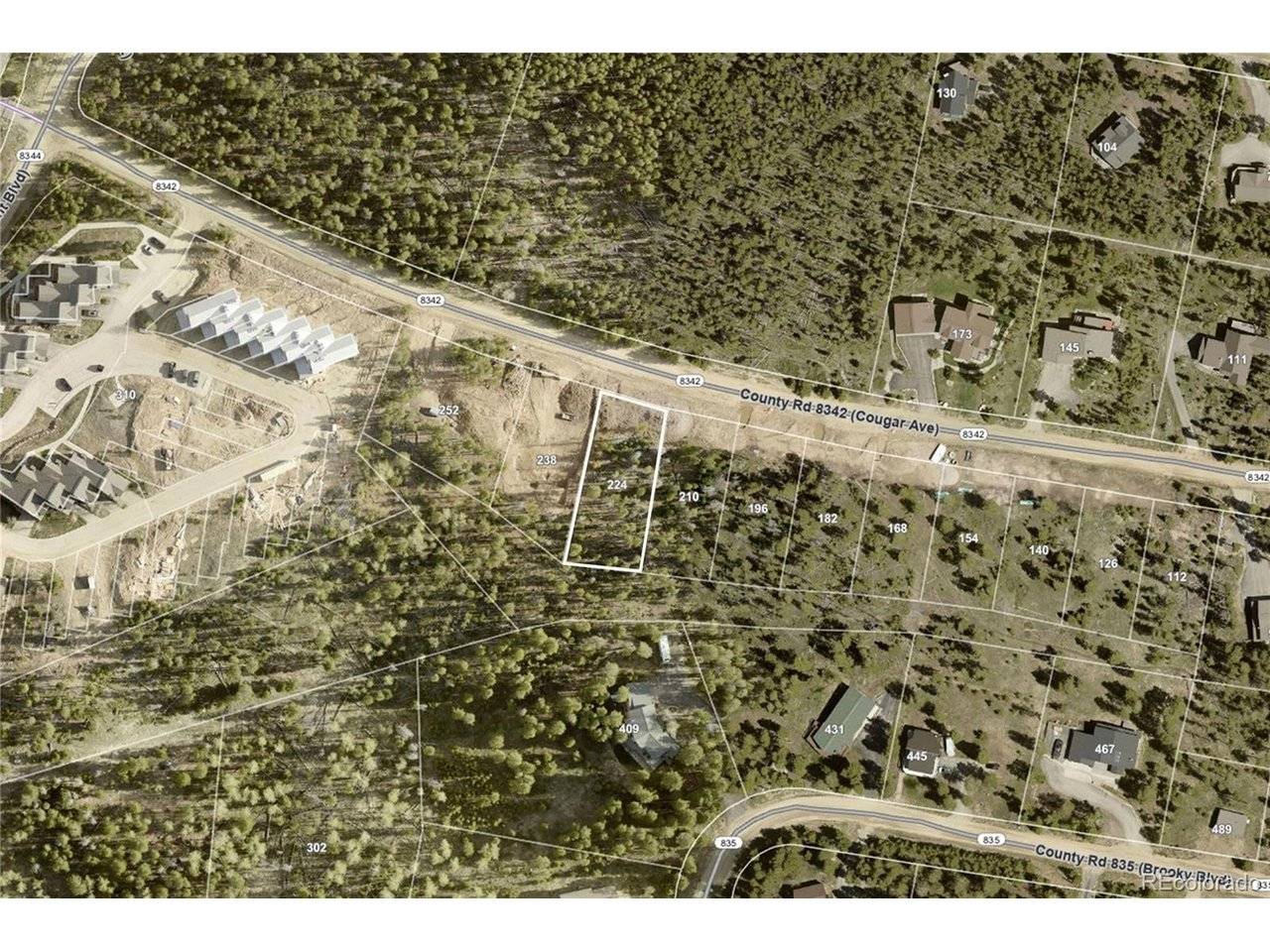224 County Road 8342, Fraser, CO 80442