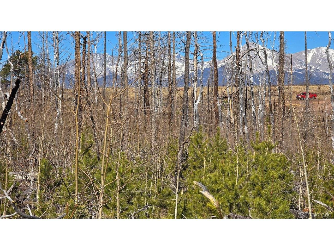 1460 Von Heyl, Fort Garland, CO 81133