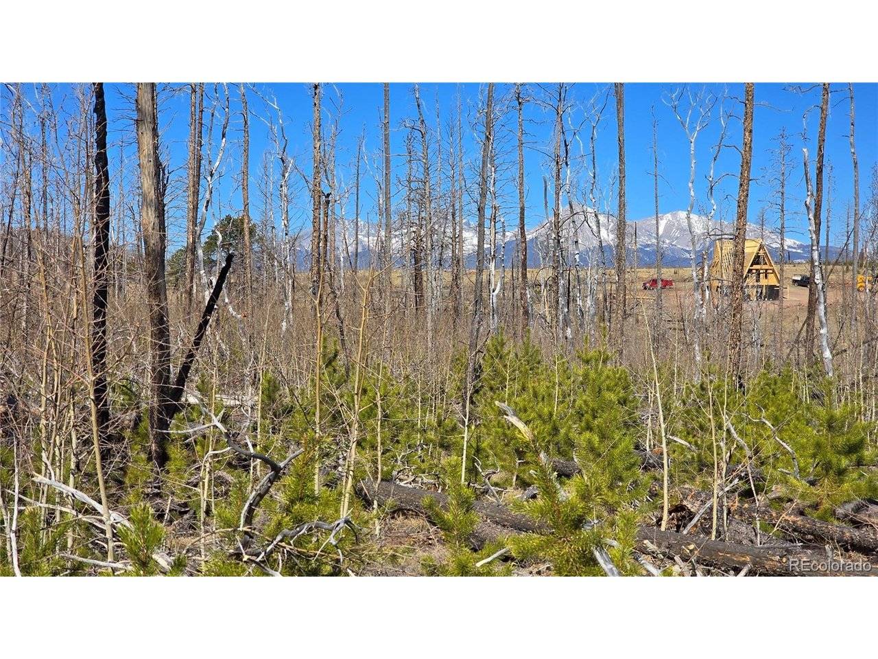 1460 Von Heyl, Fort Garland, CO 81133