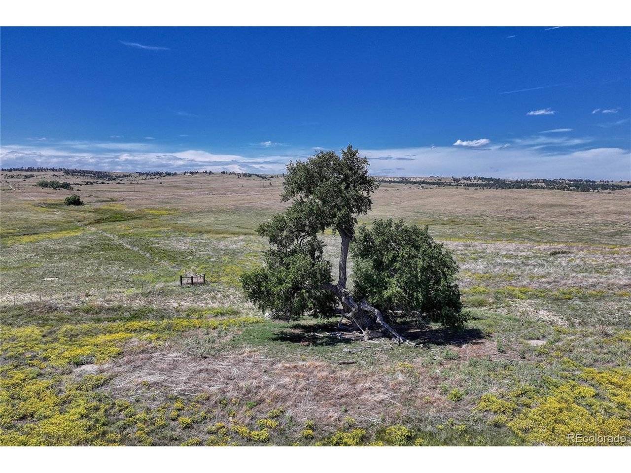 Fiddleback Ranch, Kiowa, CO 80117