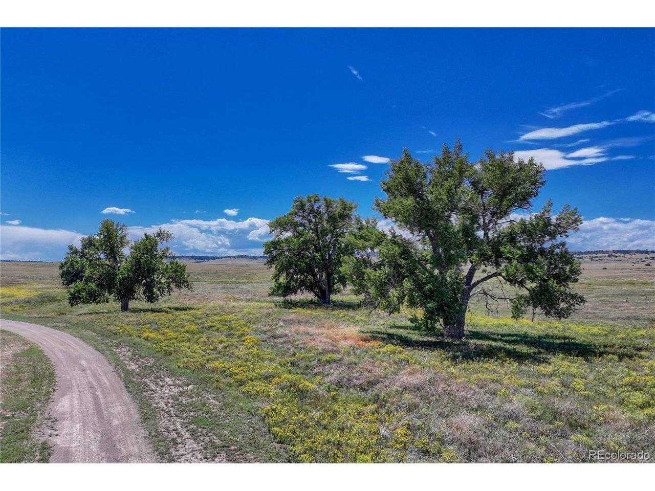 Fiddleback Ranch, Kiowa, CO 80117